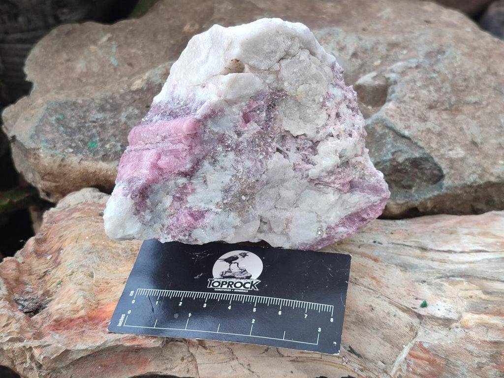 Natural Pink Rubellite Tourmaline Specimens x 2 From Karibib, Namibia - Toprock Gemstones and Minerals 