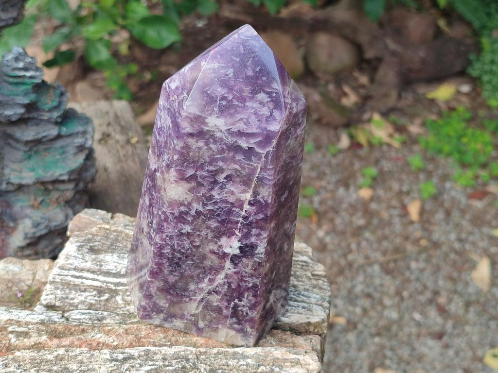 Polished Lepidolite with Pink Rubellite Tourmaline Display Crystals x 2 From Ambatondrazaka, Madagascar - Toprock Gemstones and Minerals 