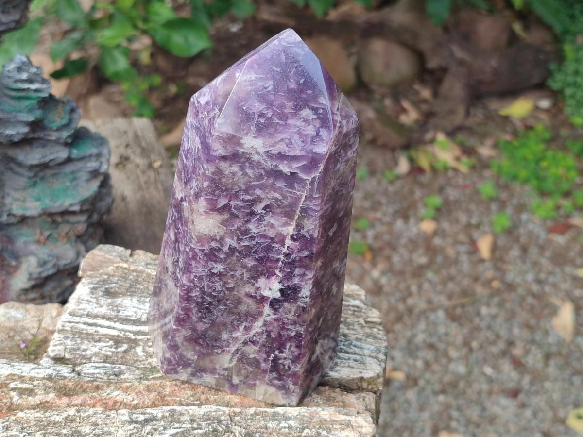 Polished Lepidolite with Pink Rubellite Tourmaline Display Crystals x 2 From Ambatondrazaka, Madagascar - Toprock Gemstones and Minerals 