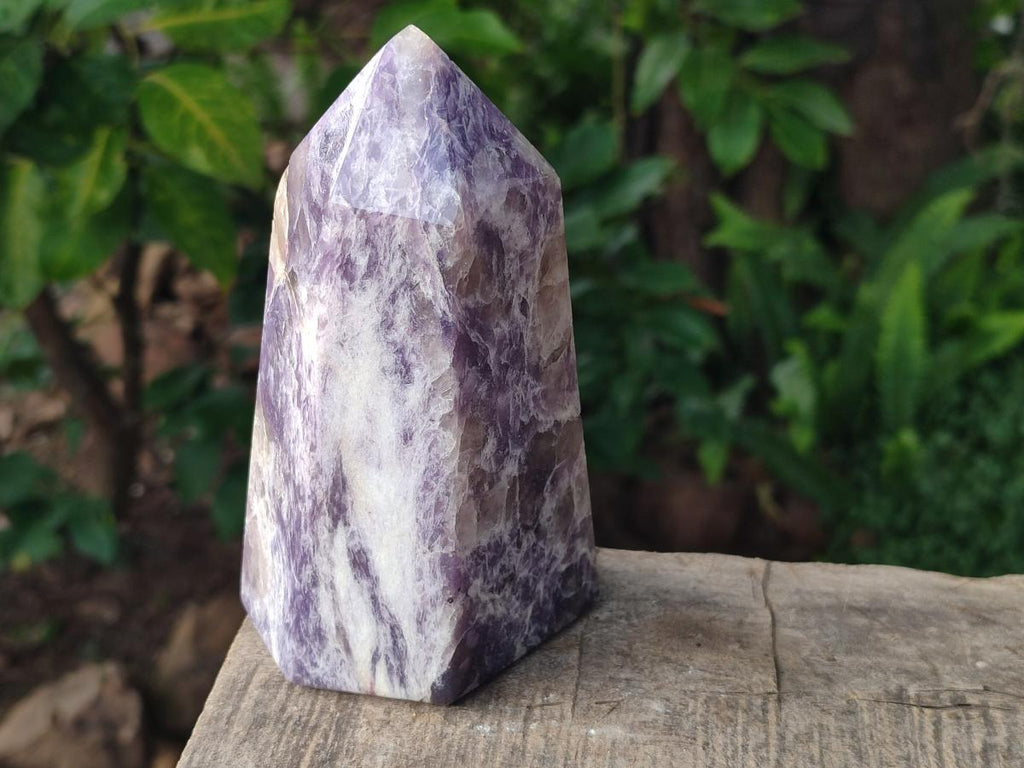 Polished Lepidolite with Pink Rubellite Tourmaline Display Crystals x 2 From Ambatondrazaka, Madagascar - Toprock Gemstones and Minerals 