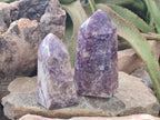Polished Lepidolite with Pink Rubellite Tourmaline Display Crystals x 2 From Ambatondrazaka, Madagascar - Toprock Gemstones and Minerals 