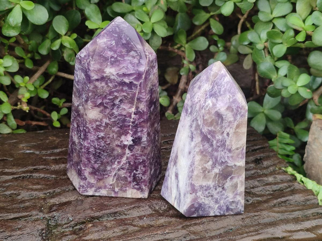 Polished Lepidolite with Pink Rubellite Tourmaline Display Crystals x 2 From Ambatondrazaka, Madagascar - Toprock Gemstones and Minerals 