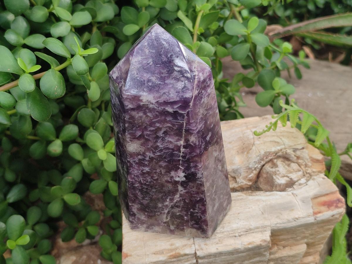 Polished Lepidolite with Pink Rubellite Tourmaline Display Crystals x 2 From Ambatondrazaka, Madagascar - Toprock Gemstones and Minerals 