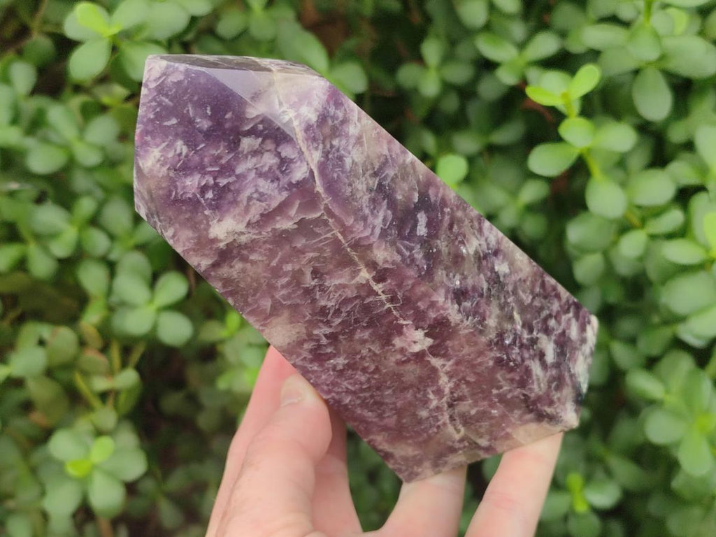 Polished Lepidolite with Pink Rubellite Tourmaline Display Crystals x 2 From Ambatondrazaka, Madagascar - Toprock Gemstones and Minerals 
