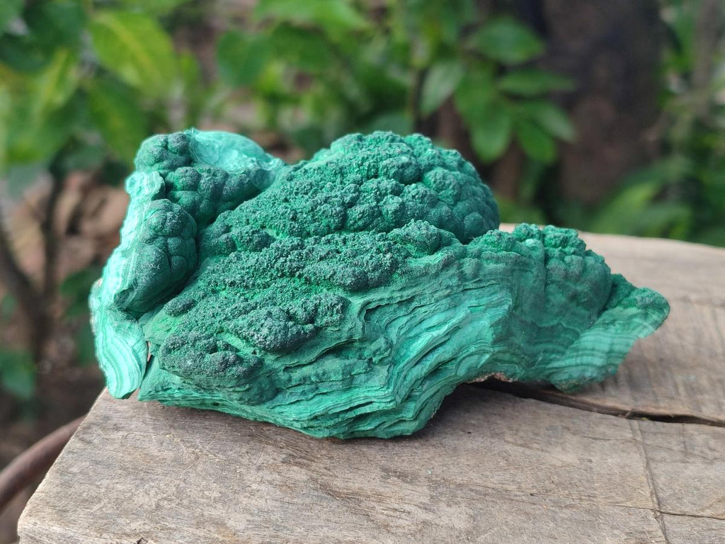 Natural Botryoidal Malachite Specimens x 3 From Congo - Toprock Gemstones and Minerals 