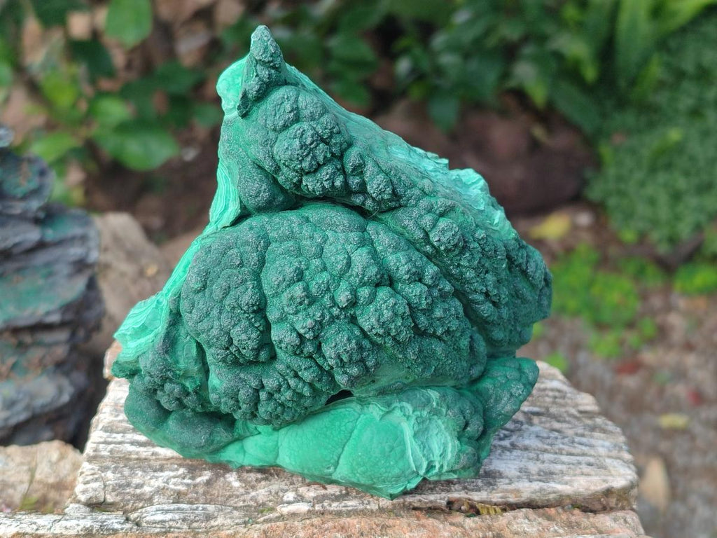 Natural Botryoidal Malachite Specimens x 3 From Congo - Toprock Gemstones and Minerals 