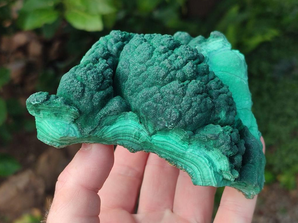 Natural Botryoidal Malachite Specimens x 3 From Congo - Toprock Gemstones and Minerals 
