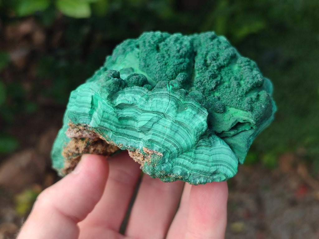 Natural Botryoidal Malachite Specimens x 3 From Congo - Toprock Gemstones and Minerals 