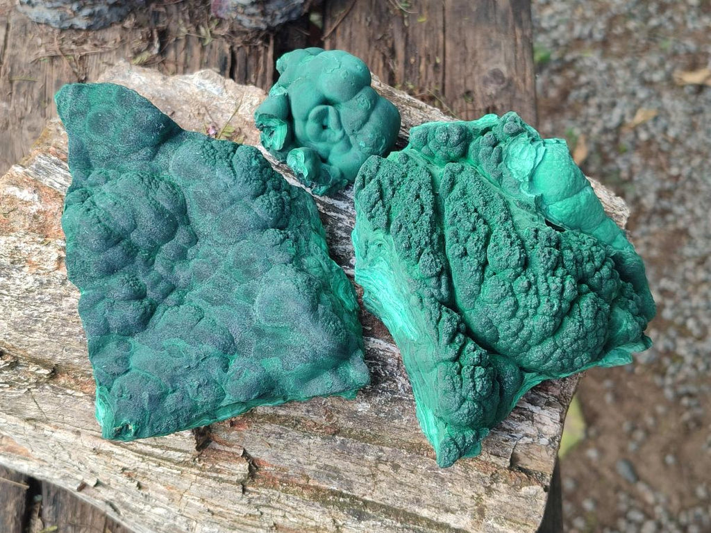 Natural Botryoidal Malachite Specimens x 3 From Congo - Toprock Gemstones and Minerals 