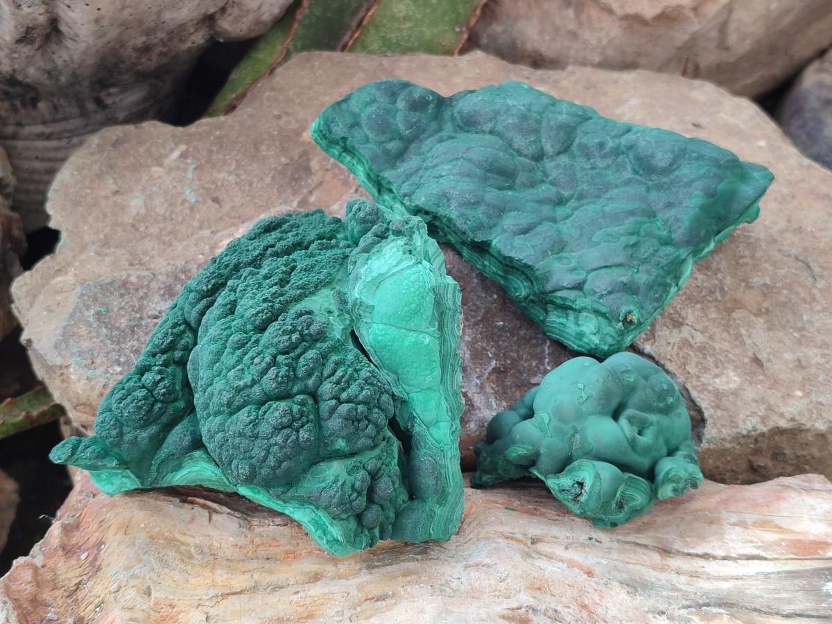 Natural Botryoidal Malachite Specimens x 3 From Congo - Toprock Gemstones and Minerals 