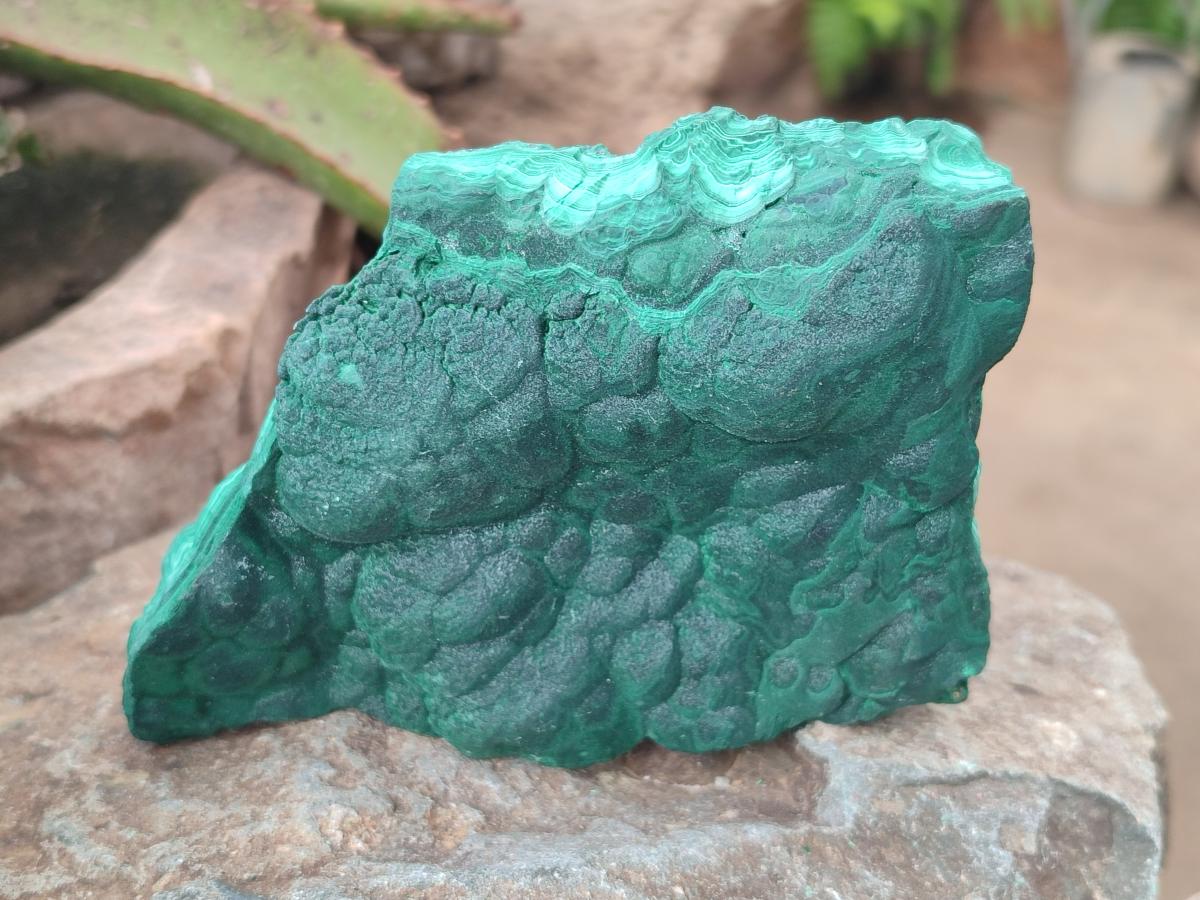 Natural Botryoidal Malachite Specimens x 3 From Congo - Toprock Gemstones and Minerals 