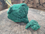 Natural Botryoidal Malachite Specimens x 3 From Congo - Toprock Gemstones and Minerals 