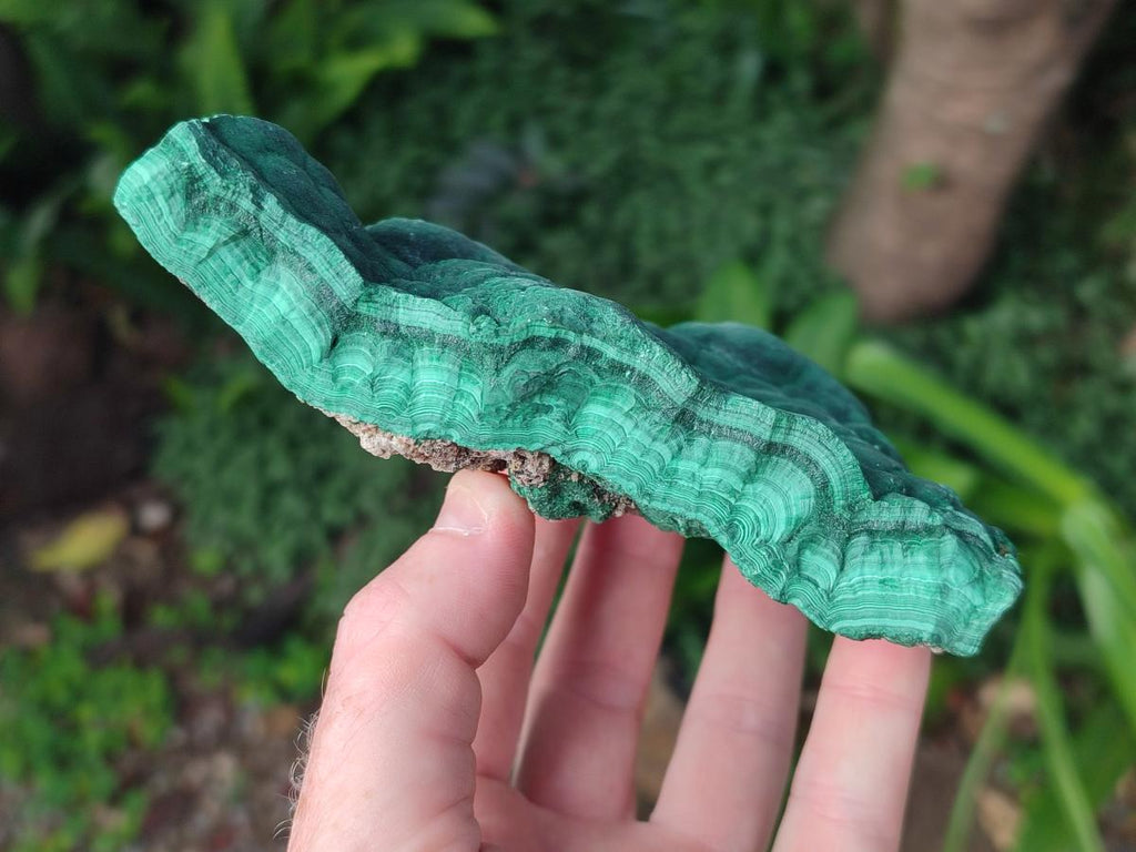 Natural Botryoidal Malachite Specimens x 3 From Congo - Toprock Gemstones and Minerals 