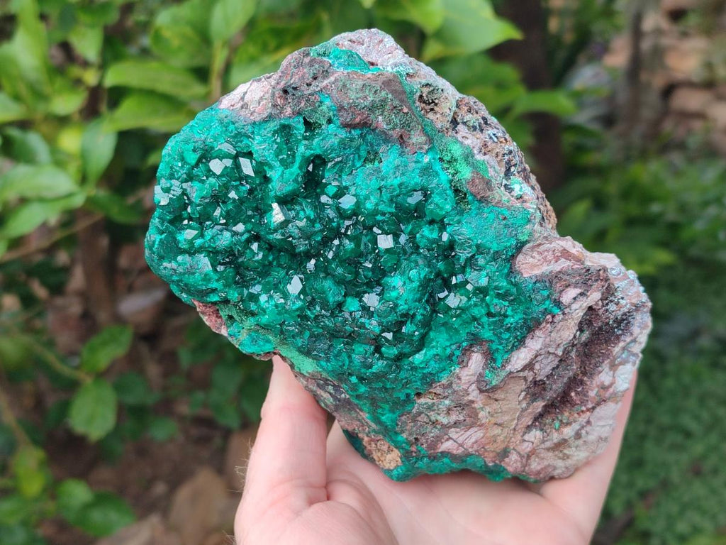 Natural XL Dioptase on Dolomite Specimen x 1 From Likasi, Congo - Toprock Gemstones and Minerals 