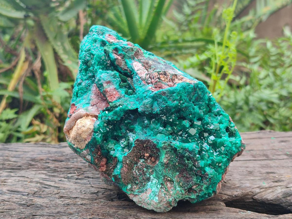 Natural XL Dioptase on Dolomite Specimen x 1 From Likasi, Congo - Toprock Gemstones and Minerals 