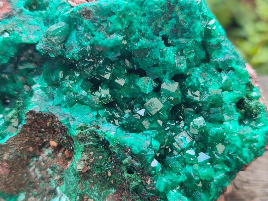 Natural XL Dioptase on Dolomite Specimen x 1 From Likasi, Congo - Toprock Gemstones and Minerals 