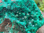Natural XL Dioptase on Dolomite Specimen x 1 From Likasi, Congo - Toprock Gemstones and Minerals 