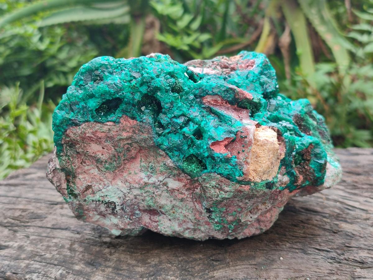 Natural XL Dioptase on Dolomite Specimen x 1 From Likasi, Congo - Toprock Gemstones and Minerals 