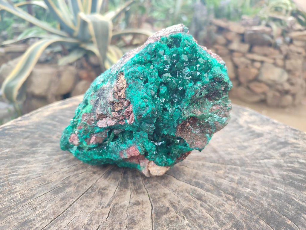 Natural XL Dioptase on Dolomite Specimen x 1 From Likasi, Congo - Toprock Gemstones and Minerals 