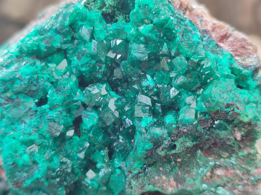 Natural XL Dioptase on Dolomite Specimen x 1 From Likasi, Congo - Toprock Gemstones and Minerals 