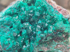 Natural XL Dioptase on Dolomite Specimen x 1 From Likasi, Congo - Toprock Gemstones and Minerals 