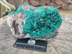 Natural XL Dioptase on Dolomite Specimen x 1 From Likasi, Congo - Toprock Gemstones and Minerals 