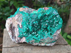 Natural XL Dioptase on Dolomite Specimen x 1 From Likasi, Congo - Toprock Gemstones and Minerals 