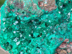 Natural XL Dioptase on Dolomite Specimen x 1 From Likasi, Congo - Toprock Gemstones and Minerals 