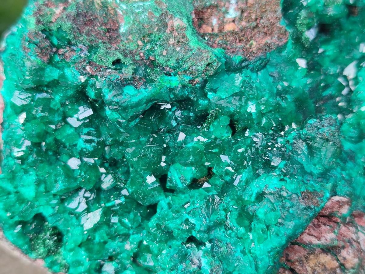 Natural XL Dioptase on Dolomite Specimen x 1 From Likasi, Congo - Toprock Gemstones and Minerals 