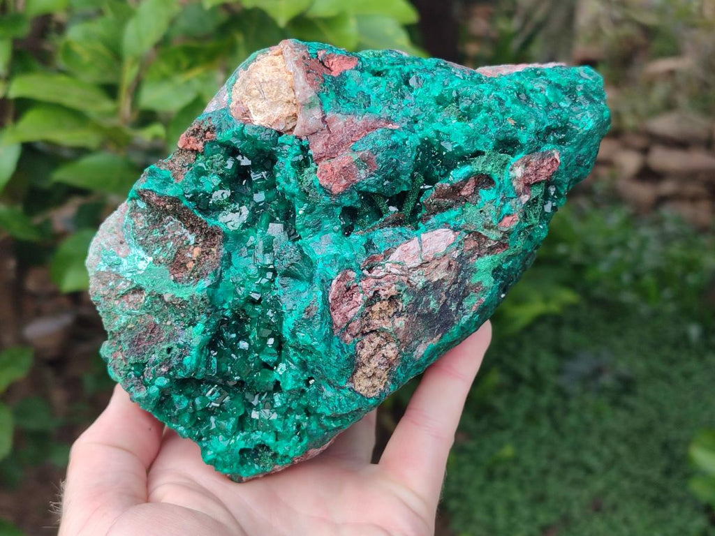 Natural XL Dioptase on Dolomite Specimen x 1 From Likasi, Congo - Toprock Gemstones and Minerals 