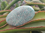 Polished Amazonite Free Forms x 9 From Zimbabwe - Toprock Gemstones and Minerals 