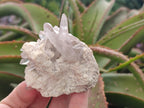 Natural Smokey Quartz Crystals on Orthoclase Matrix Specimens x 11 From Zomba Plateau, Malawi - Toprock Gemstones and Minerals 