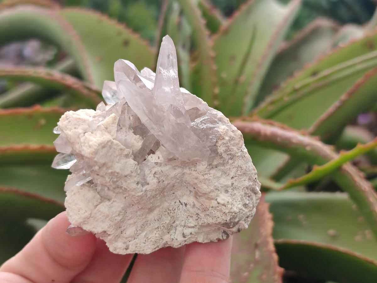Natural Smokey Quartz Crystals on Orthoclase Matrix Specimens x 11 From Zomba Plateau, Malawi - Toprock Gemstones and Minerals 