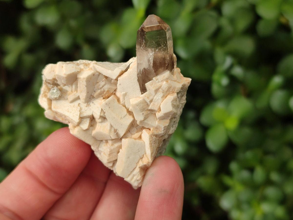 Natural Smokey Quartz Crystals on Orthoclase Matrix Specimens x 11 From Zomba Plateau, Malawi - Toprock Gemstones and Minerals 