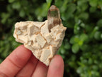 Natural Smokey Quartz Crystals on Orthoclase Matrix Specimens x 11 From Zomba Plateau, Malawi - Toprock Gemstones and Minerals 