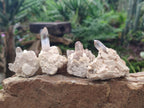 Natural Smokey Quartz Crystals on Orthoclase Matrix Specimens x 11 From Zomba Plateau, Malawi - Toprock Gemstones and Minerals 