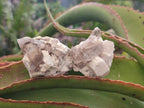 Natural Smokey Quartz Crystals on Orthoclase Matrix Specimens x 11 From Zomba Plateau, Malawi - Toprock Gemstones and Minerals 