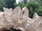 Natural Smokey Quartz Crystals on Orthoclase Matrix Specimens x 11 From Zomba Plateau, Malawi - Toprock Gemstones and Minerals 