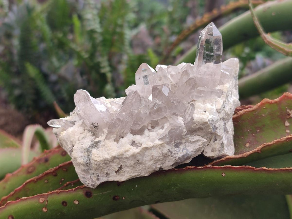 Natural Smokey Quartz Crystals on Orthoclase Matrix Specimens x 11 From Zomba Plateau, Malawi - Toprock Gemstones and Minerals 