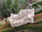 Natural Smokey Quartz Crystals on Orthoclase Matrix Specimens x 11 From Zomba Plateau, Malawi - Toprock Gemstones and Minerals 
