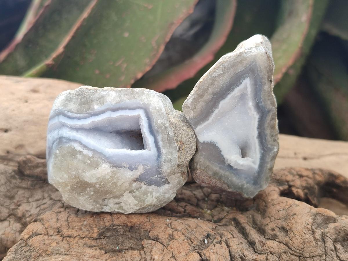 Polished On One Side Small Blue Lace Agate Geodes x 20 From Nsanje, Malawi - Toprock Gemstones and Minerals 