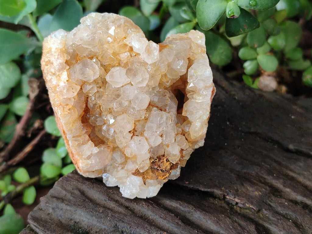 Natural Golden Limonite Quartz Clusters x 46 From Solwezi, Zambia - Toprock Gemstones and Minerals 