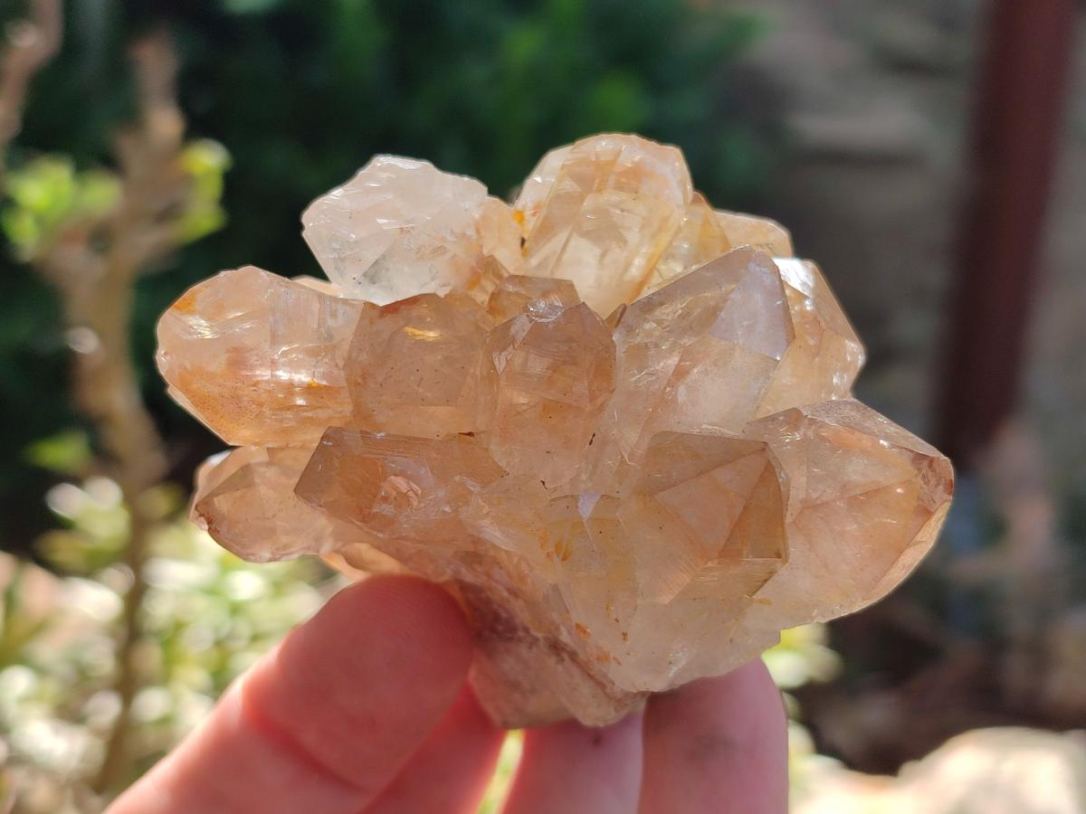 Natural Golden Limonite Quartz Clusters x 46 From Solwezi, Zambia - Toprock Gemstones and Minerals 