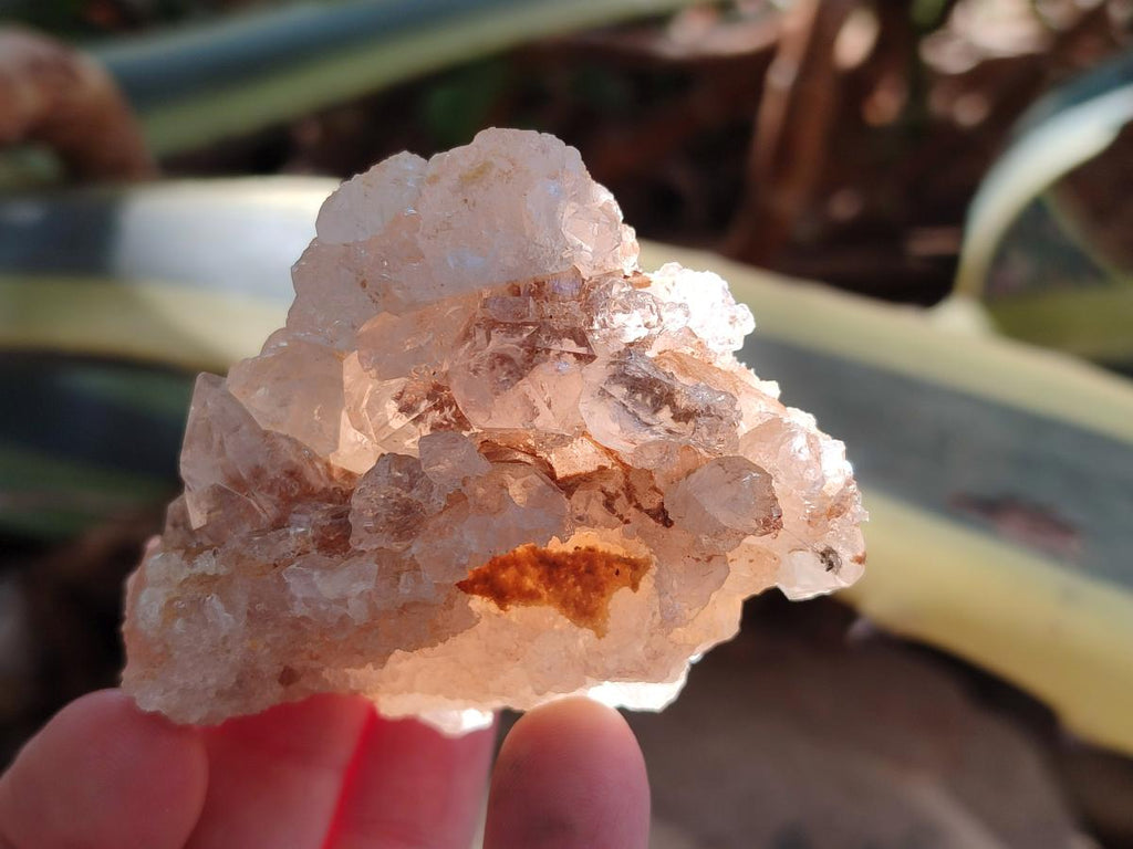 Natural Golden Limonite Quartz Clusters x 46 From Solwezi, Zambia - Toprock Gemstones and Minerals 