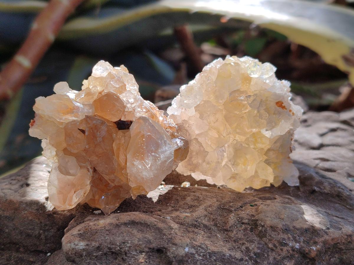 Natural Golden Limonite Quartz Clusters x 46 From Solwezi, Zambia - Toprock Gemstones and Minerals 