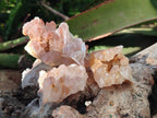 Natural Golden Limonite Quartz Clusters x 46 From Solwezi, Zambia - Toprock Gemstones and Minerals 