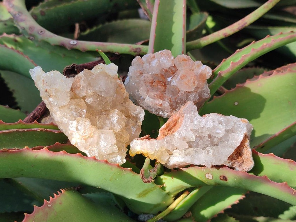 Natural Golden Limonite Quartz Clusters x 46 From Solwezi, Zambia - Toprock Gemstones and Minerals 