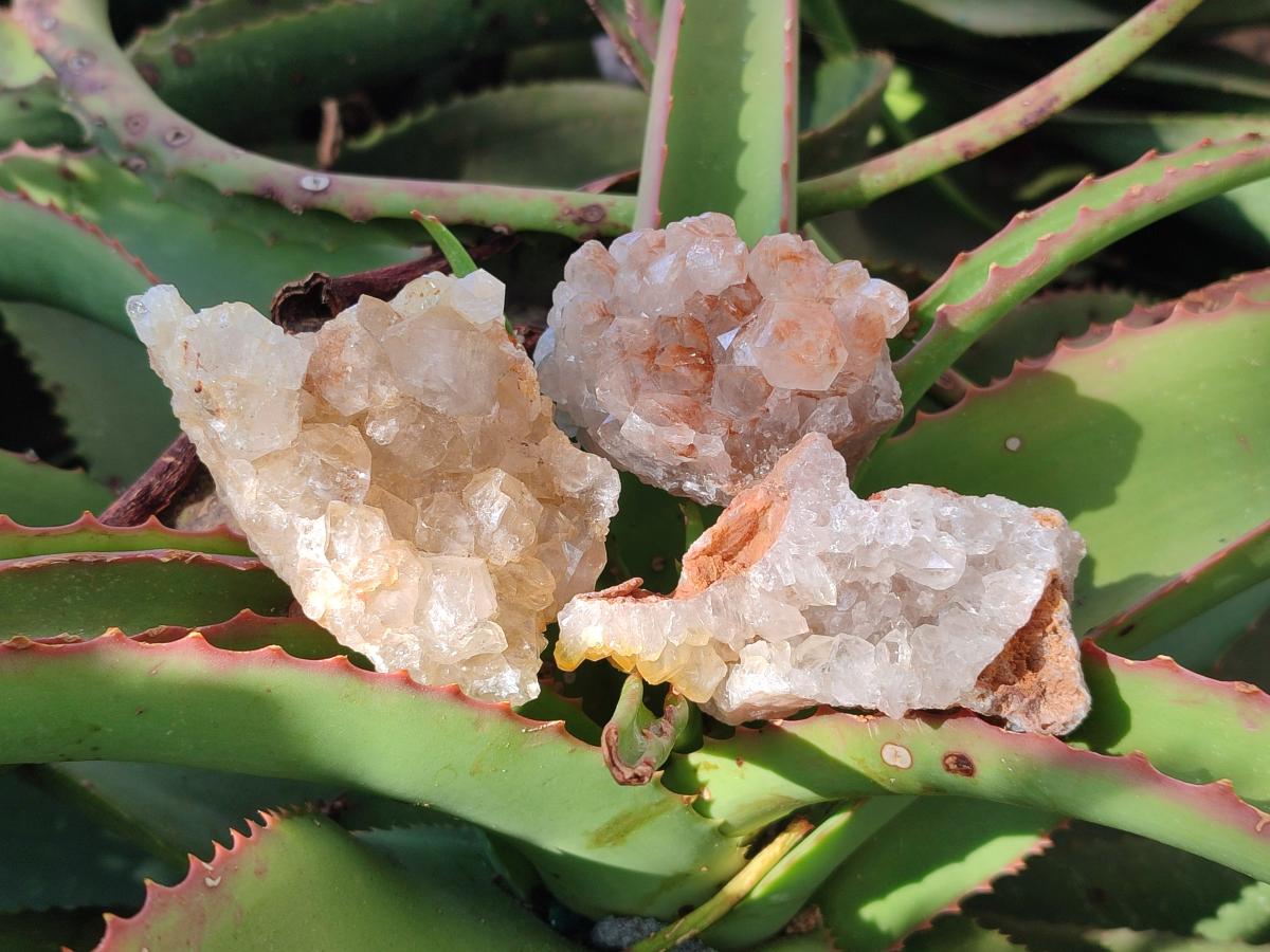 Natural Golden Limonite Quartz Clusters x 46 From Solwezi, Zambia - Toprock Gemstones and Minerals 