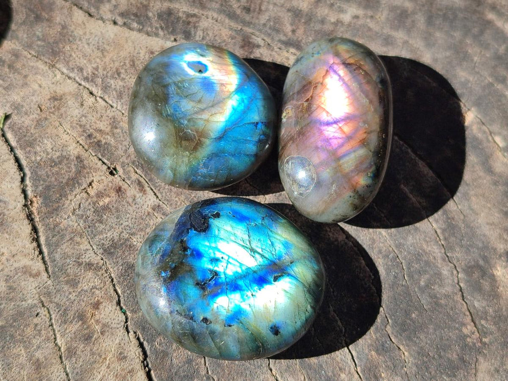 Polished Mini Labradorite Galets x 46 From Madagascar - Toprock Gemstones and Minerals 
