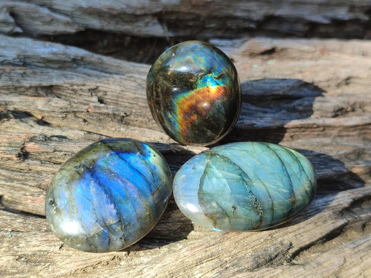 Polished Mini Labradorite Galets x 46 From Madagascar - Toprock Gemstones and Minerals 